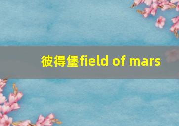 彼得堡field of mars